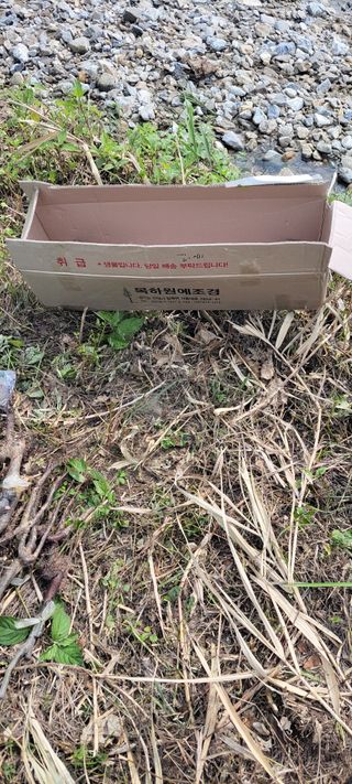 윤석돈님의 배 · 일상 작성글 사진