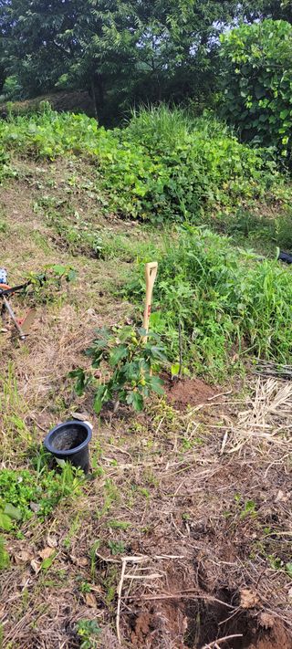 윤석돈님의 배 · 일상 작성글 사진