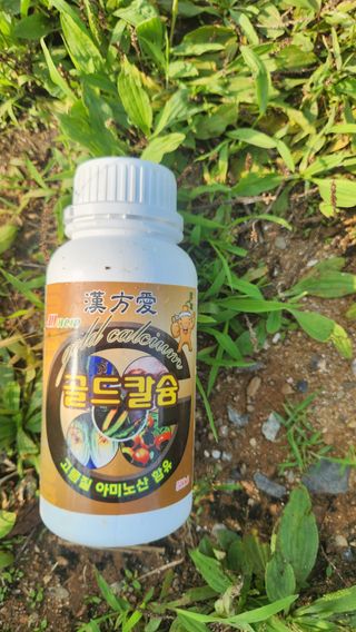 제부도그린농원님의 사과 · 품질 향상 작성글 사진