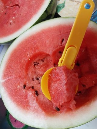 금동이네님의 기타작물 · 자유게시판 작성글 사진