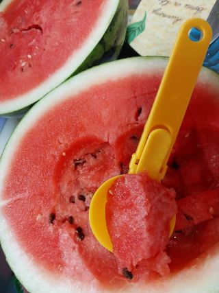 금동이네님의 기타작물 · 자유게시판 작성글 사진