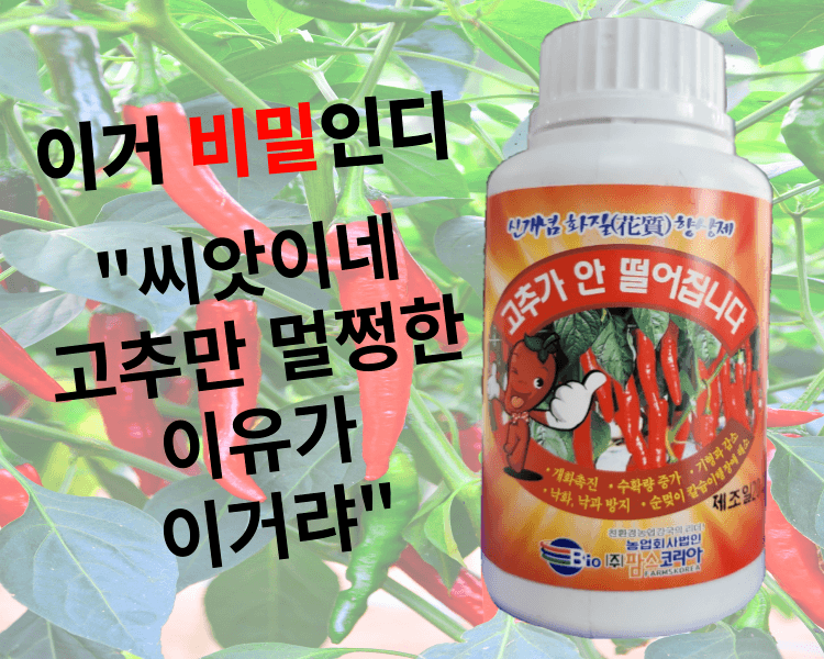 장터 상품 [고추가 안 떨어집니다 고추영양제] 썸네일