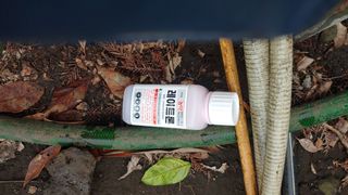 보물섬남자님의 귤 · 영농일지 작성글 사진