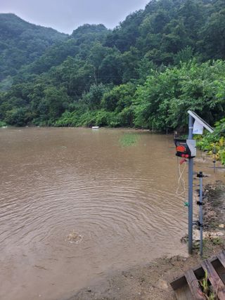 황수문님의 수해 농가 응원 같이해요 · 참여 작성글 사진