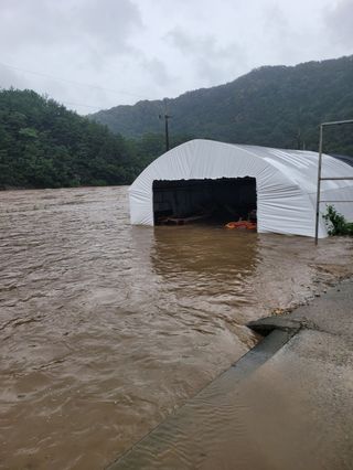 황수문님의 수해 농가 응원 같이해요 · 참여 작성글 사진