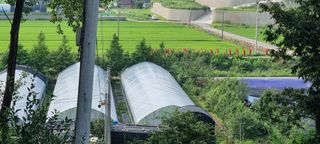 대삼팜스빌리지님의 자유주제 · 자유게시판 작성글 사진