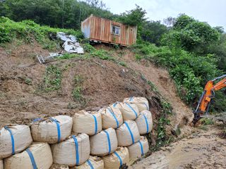 이종포님의 벼 · 자유게시판 작성글 사진