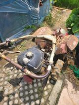 팜모닝 감자·자유게시판 게시글 이미지