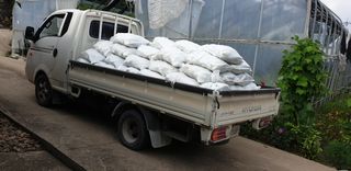 전봉우(채미농원)님의 옥수수 · 영농일지 작성글 사진