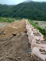 팜모닝 참깨·자유게시판 게시글 이미지