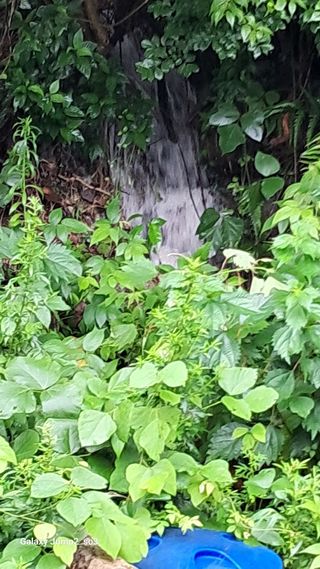 김광국님의 수해 농가 응원 같이해요 · 참여 작성글 사진