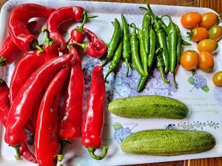 해남댁님의 자유주제 · 자유게시판 작성글 사진