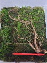 팜모닝 · 게시글 이미지