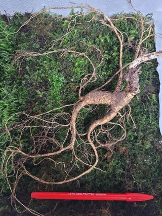 김봉호님의 작성글 사진