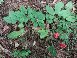 김봉호님의 작성글 사진