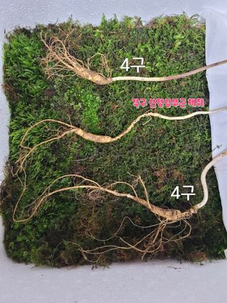 김봉호님의 작성글 사진