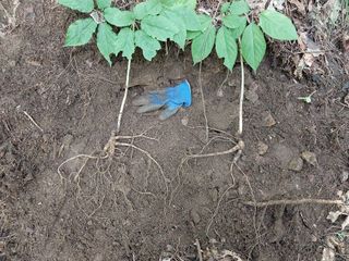 김봉호님의 작성글 사진