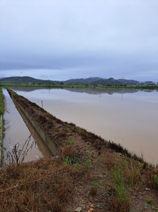 강연태님의 수해 농가 응원 같이해요 · 참여 작성글 사진