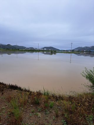 강연태님의 수해 농가 응원 같이해요 · 참여 작성글 사진