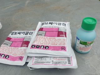 김용희님의 자두 · 영농일지 작성글 사진