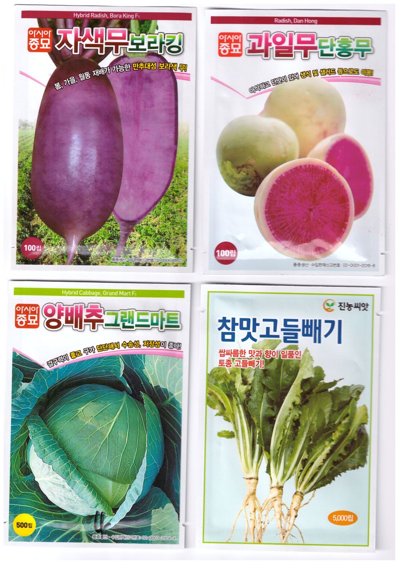 장터 상품 [보라색무씨앗, 과일무씨앗, 양배추씨앗, 고들빼기씨앗, 강화순무씨앗] 썸네일