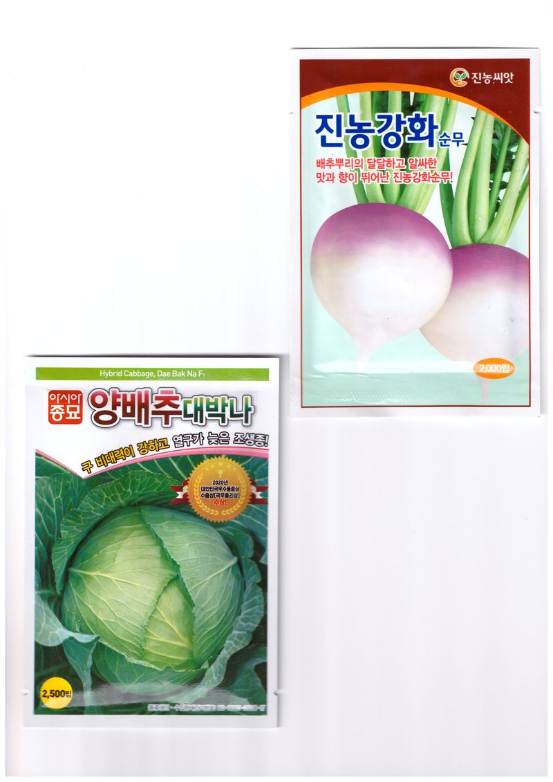 한농농약종묘사님의 장터 판매 상품 [보라색무씨앗, 과일무씨앗, 양배추씨앗, 고들빼기씨앗, 강화순무씨앗] 첨부 사진