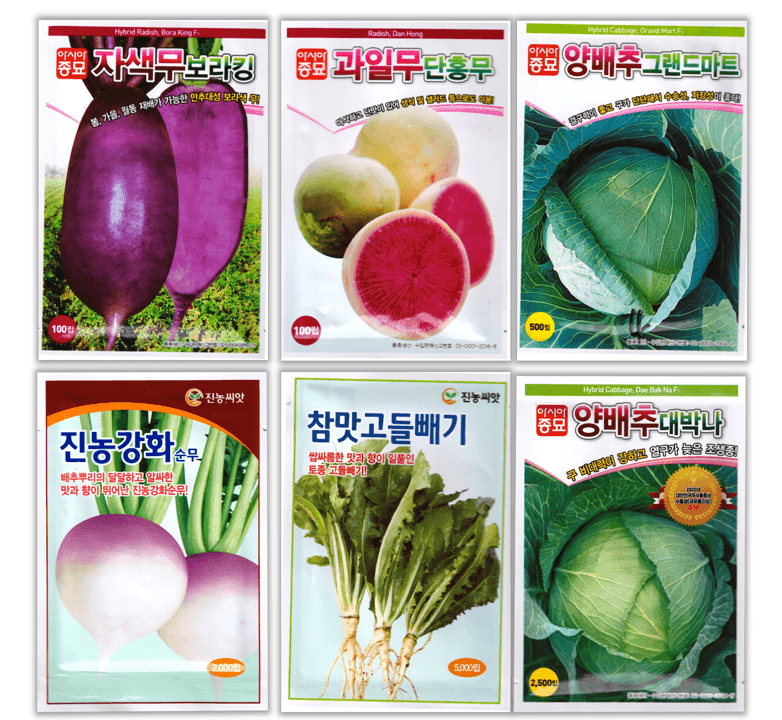 한농농약종묘사님의 장터 판매 상품 [보라색무씨앗, 과일무씨앗, 양배추씨앗, 고들빼기씨앗, 강화순무씨앗] 첨부 사진