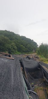 팜모닝 기타작물·자유게시판 게시글 이미지