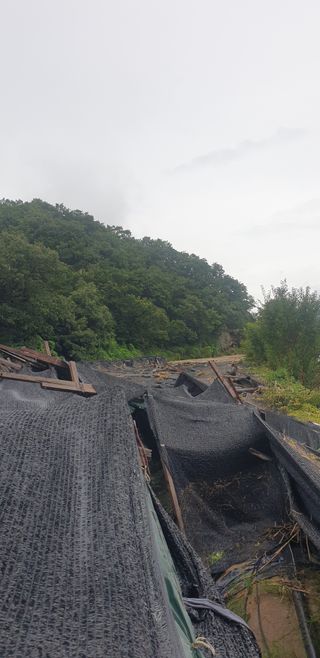 두리네님의 기타작물 · 자유게시판 작성글 사진