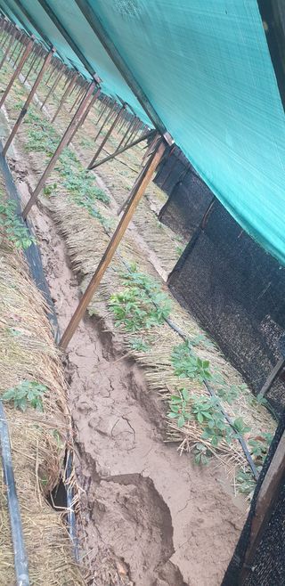 두리네님의 기타작물 · 자유게시판 작성글 사진