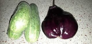 이진국님의 자유주제 · 사진전 작성글 사진