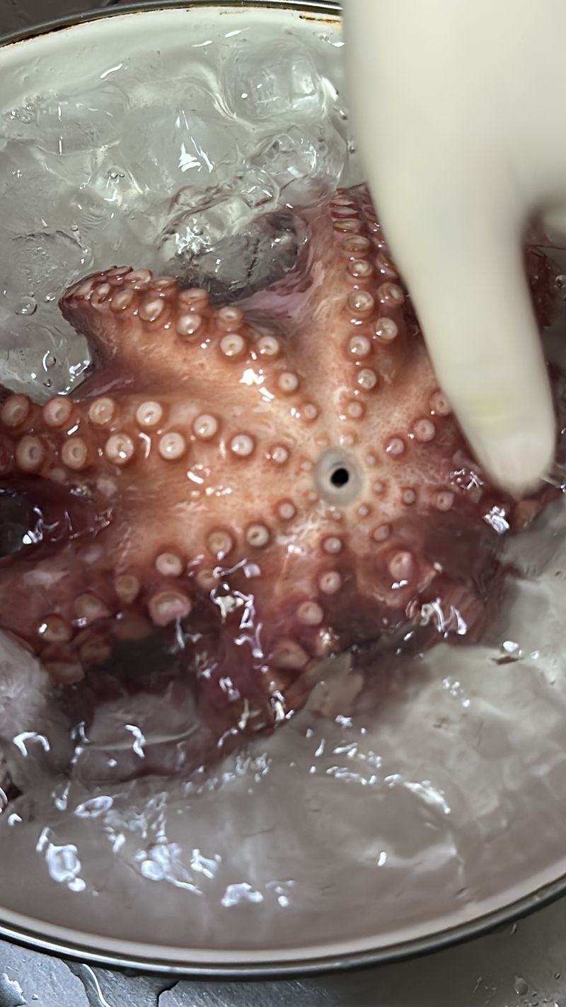 정승일님의 장터 판매 상품 [남해 돌문어 ] 첨부 사진