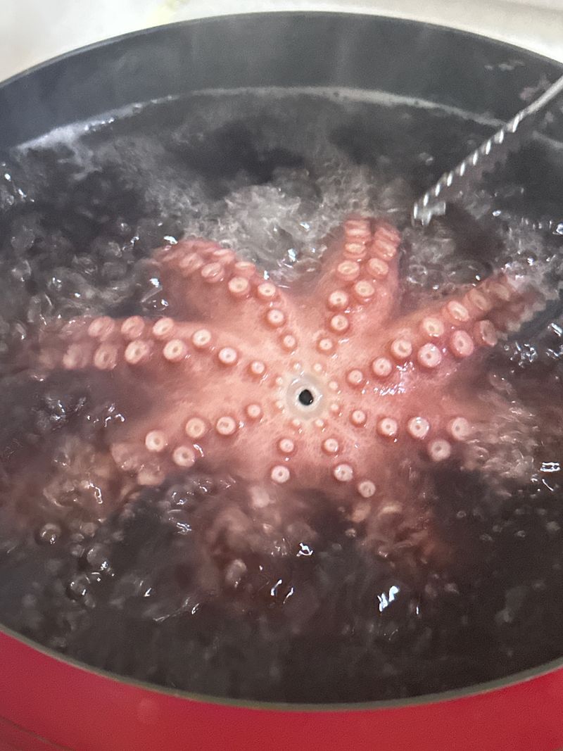 정승일님의 장터 판매 상품 [남해 돌문어 ] 첨부 사진