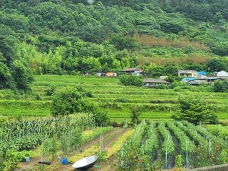 배순녀님의 작성글 사진
