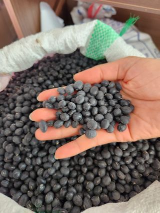 배순녀님의 작성글 사진