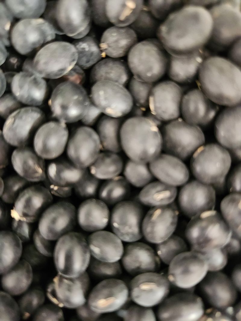 배순녀님의 장터 판매 상품 [상추  풋고추 청량고추  꽈리고추   (상추25000)작년 들깨. 참깨. 서리태 팝니다] 첨부 사진