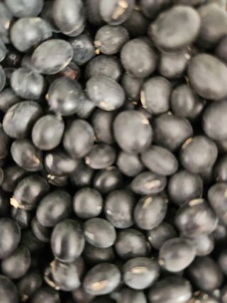 배순녀님의 작성글 사진