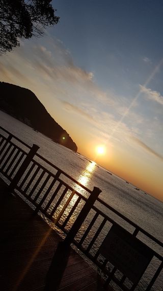 땅위에평화님의 오이 · 병해충상담 작성글 사진