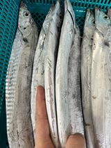 팜모닝 · 게시글 이미지