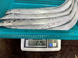 목포 물좋은수산님의 작성글 사진