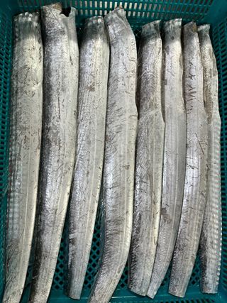 목포 물좋은수산님의 작성글 사진