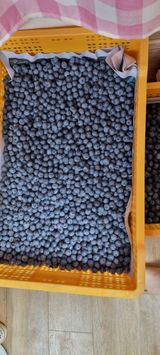 팜모닝 수해 농가 응원 같이해요·참여 게시글 이미지