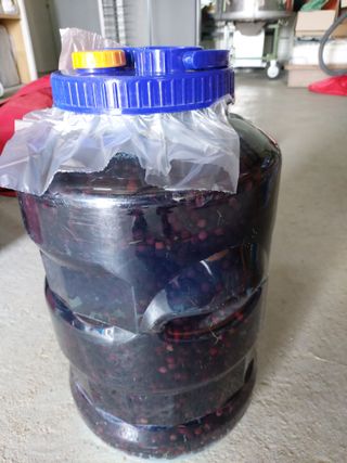 소병찬님의 기타작물 · 자유게시판 작성글 사진