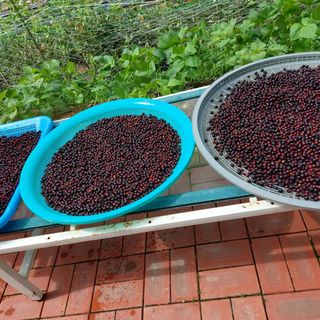 소병찬님의 기타작물 · 자유게시판 작성글 사진