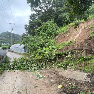 예산 촌딱 농부님의 수해 농가 응원 같이해요 · 참여 작성글 사진