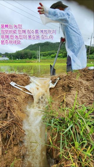 시나이산님의 수해 농가 응원 같이해요 · 참여 작성글 사진