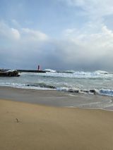 팜모닝 수해 농가 응원 같이해요·참여 게시글 이미지