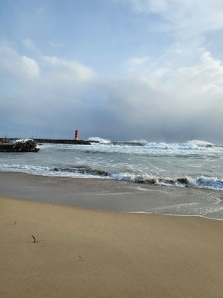 사과4293님의 수해 농가 응원 같이해요 · 참여 작성글 사진