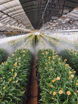 단지바이오님의 자유주제 · 자유게시판 작성글 사진