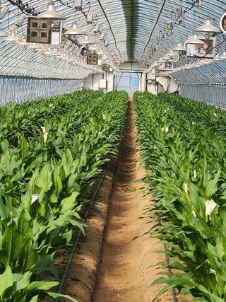 단지바이오님의 자유주제 · 자유게시판 작성글 사진